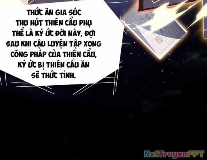 Thương Thiên Tại Hạ - Chương 74 - ảnh 14