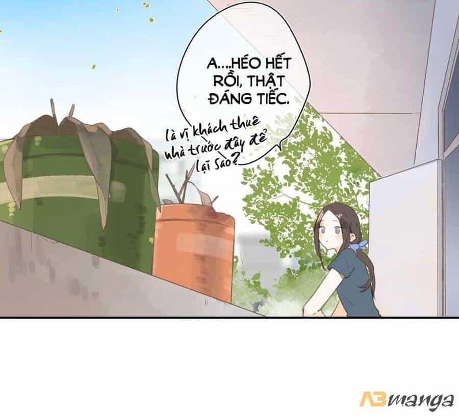 Tiệm Hoa Hướng Dương Góc Phố - Chương 1 - ảnh 19