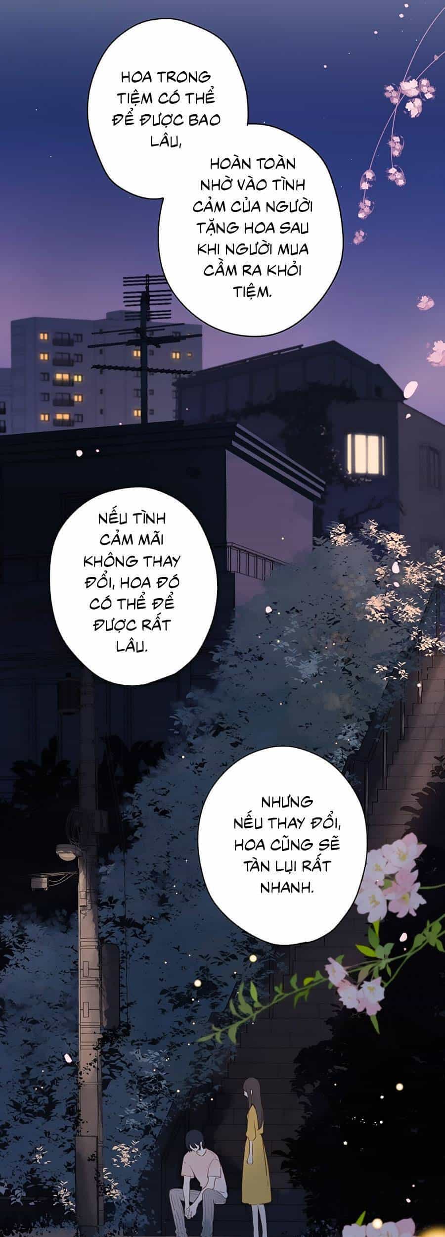 Tiệm Hoa Hướng Dương Góc Phố - Chương 12 - ảnh 21