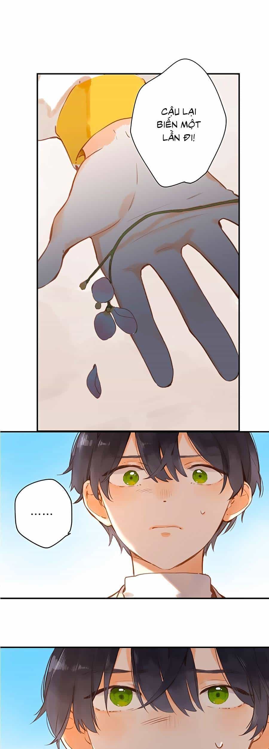 Tiệm Hoa Hướng Dương Góc Phố - Chương 22 - ảnh 2