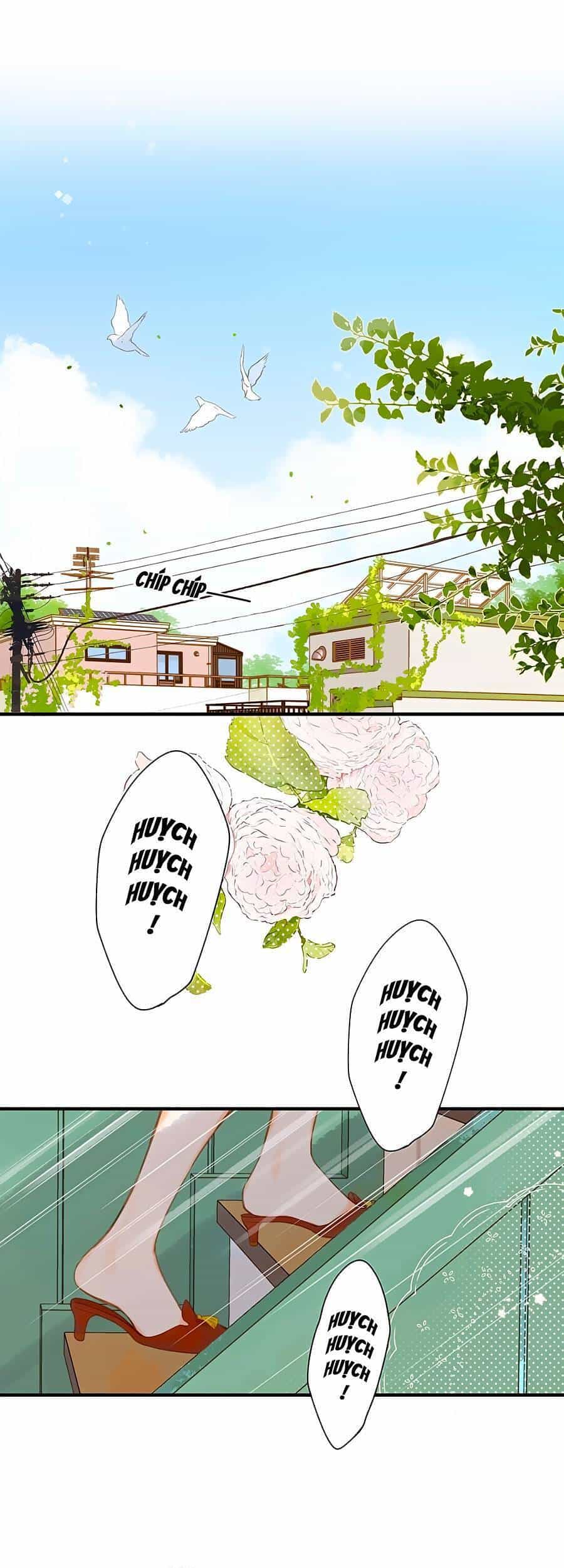 Tiệm Hoa Hướng Dương Góc Phố - Chương 25 - ảnh 2