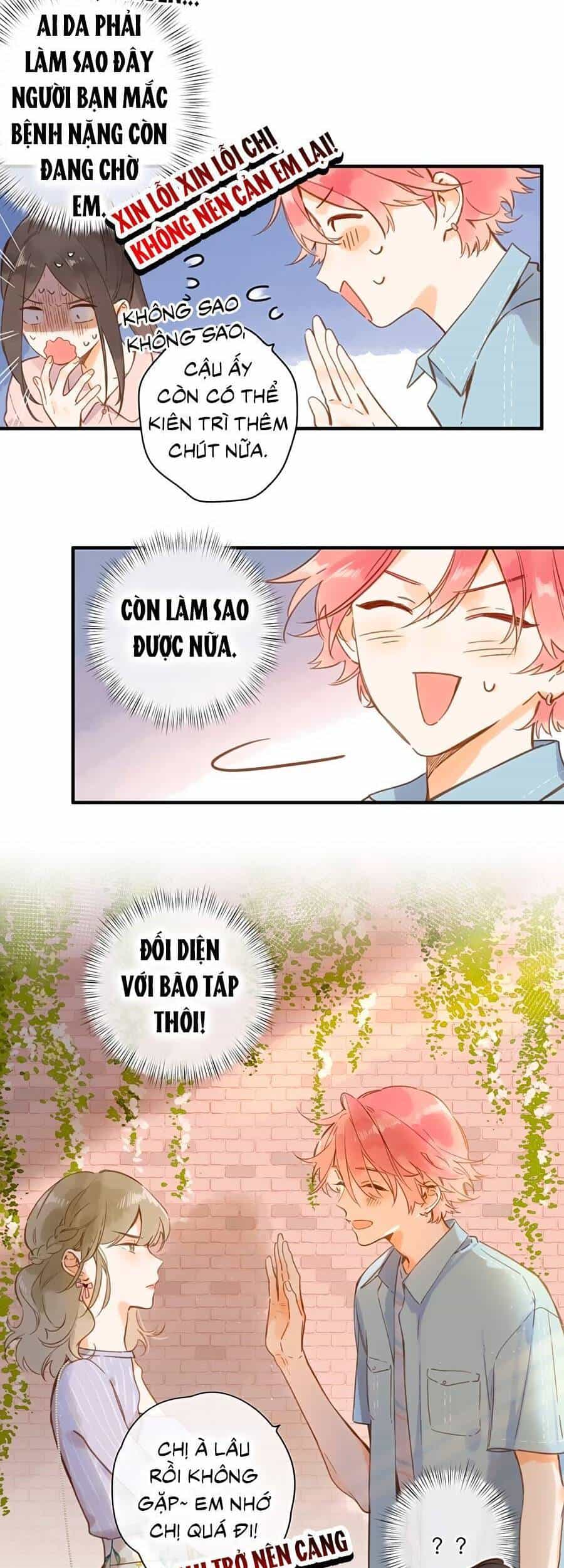 Tiệm Hoa Hướng Dương Góc Phố - Chương 29 - ảnh 9