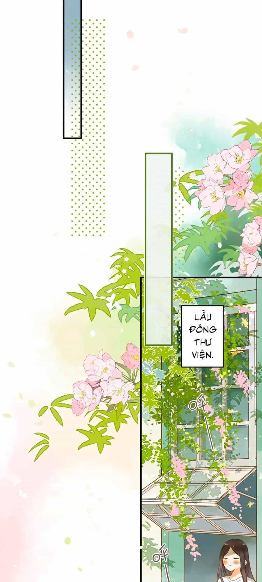 Tiệm Hoa Hướng Dương Góc Phố - Chương 33 - ảnh 12