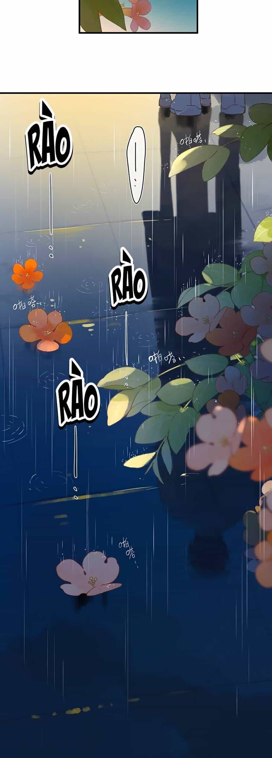 Tiệm Hoa Hướng Dương Góc Phố - Chương 37 - ảnh 31