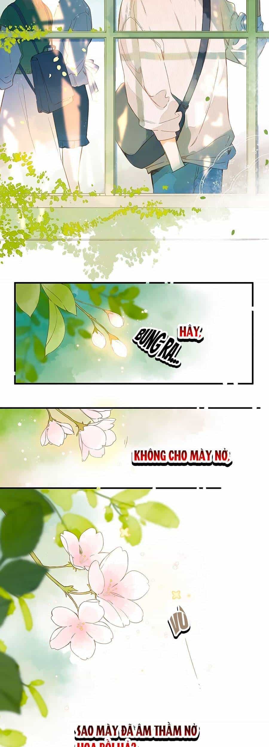 Tiệm Hoa Hướng Dương Góc Phố - Chương 40 - ảnh 23