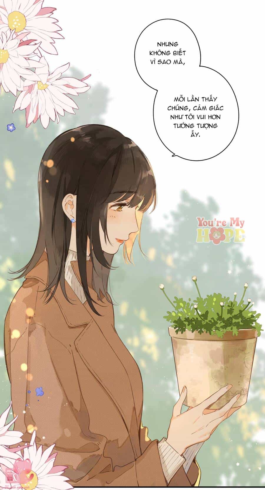 Tiệm Hoa Hướng Dương Góc Phố - Chương 65 - ảnh 26