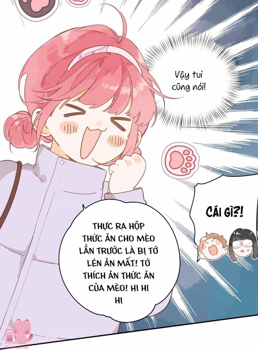 Tiệm Hoa Hướng Dương Góc Phố - Chương 67 - ảnh 33