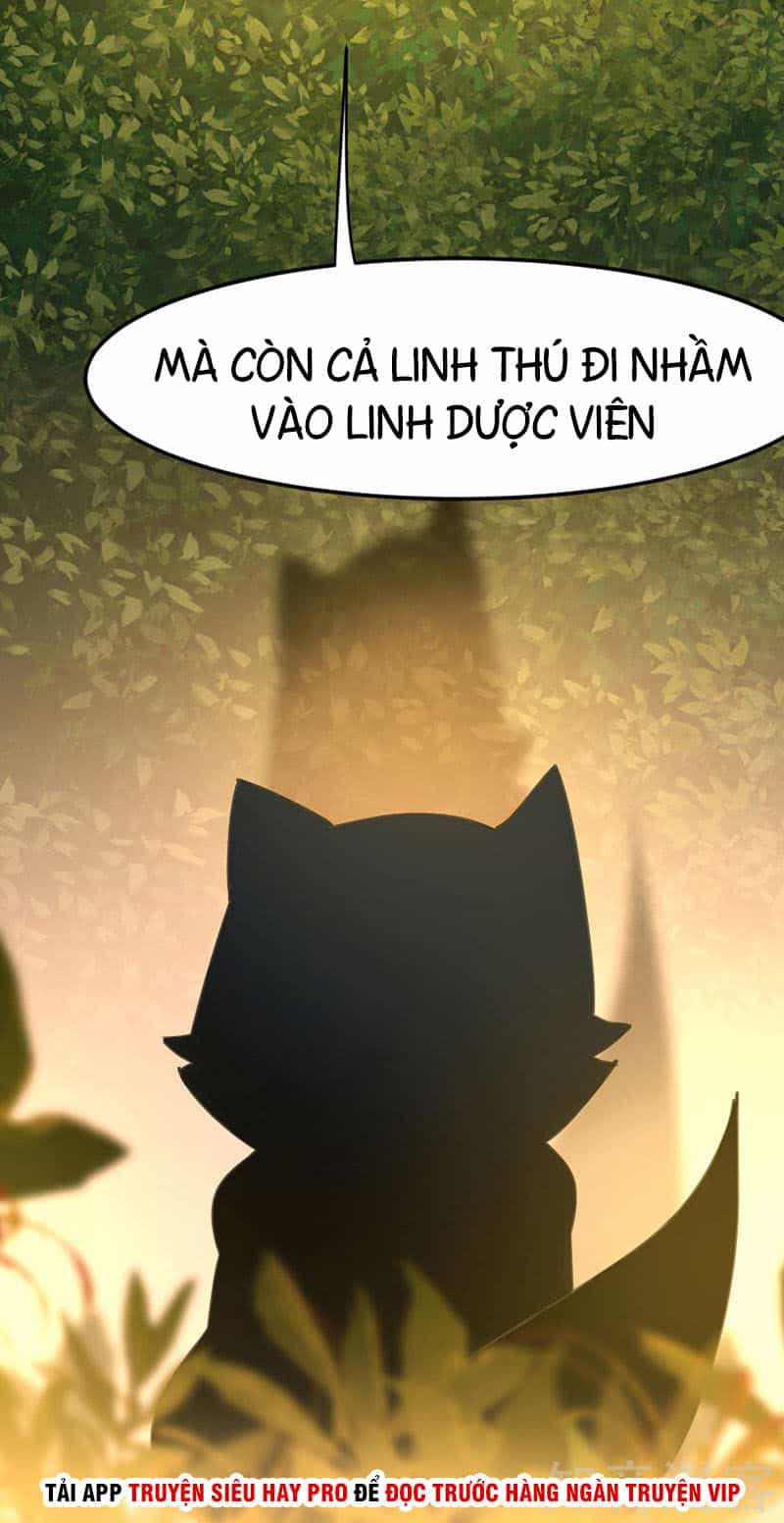 Tiên Đế Trở Về - Chương 33 - ảnh 12