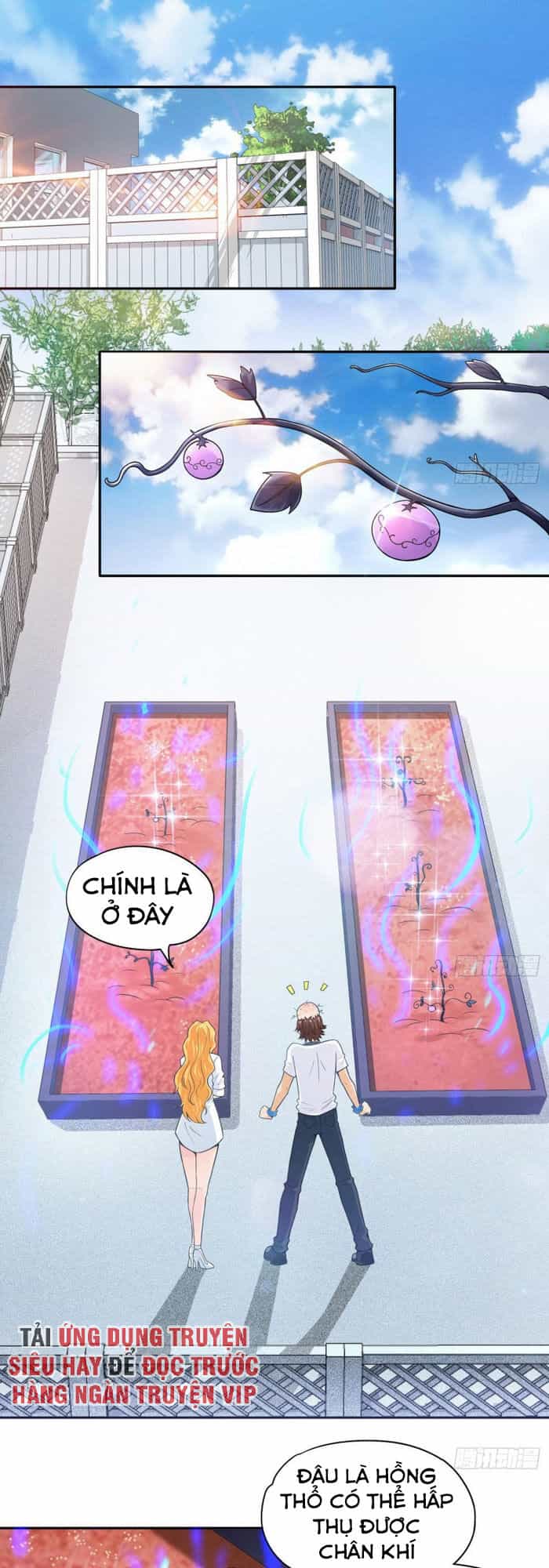 Tiên Giới Thương Thành - Chương 33 - ảnh 1