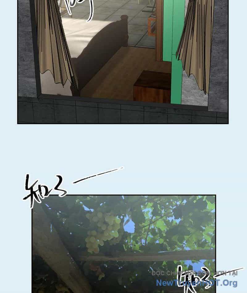 Tiến Hóa Ban Đầu - Chương 13 - ảnh 40