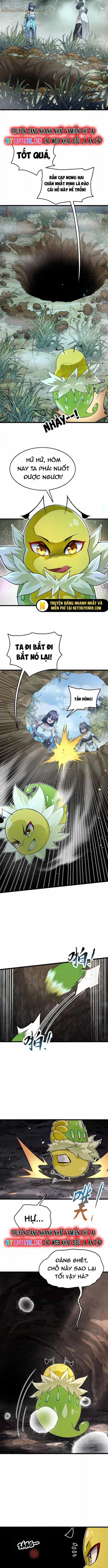 Tiến Hóa Đi, Caterpie - Chương 34 - ảnh 2