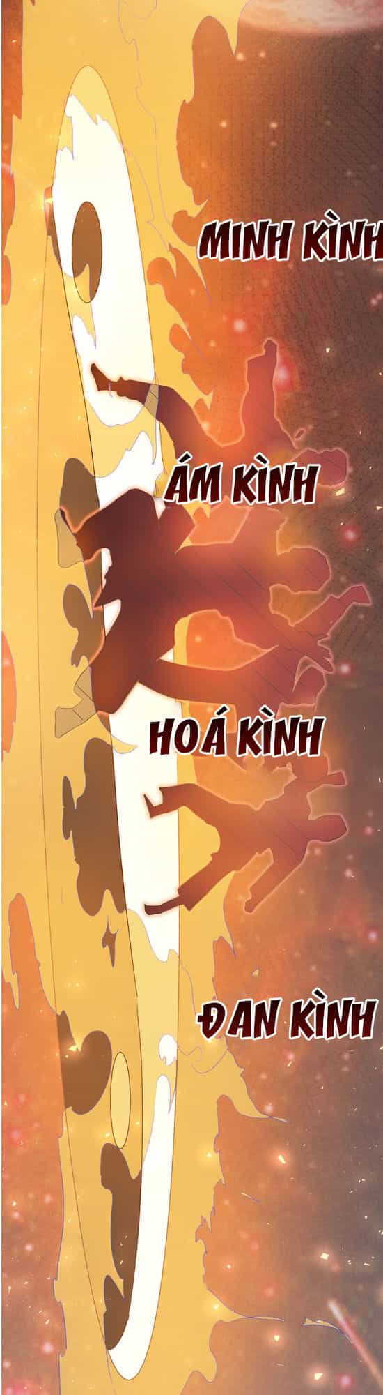 Tiên Vương Trùng Sinh - Chương 2 - ảnh 13