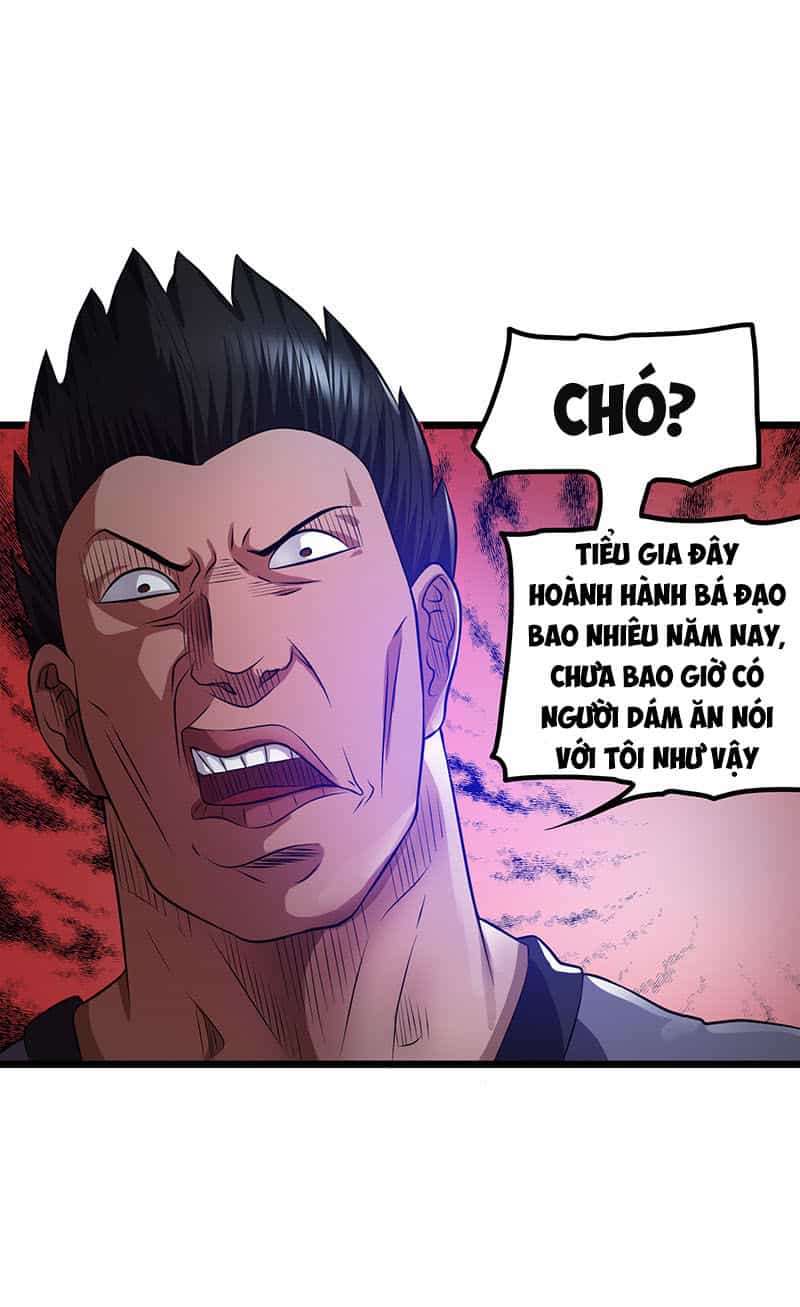 Tiên Vương Trùng Sinh - Chương 21 - ảnh 13