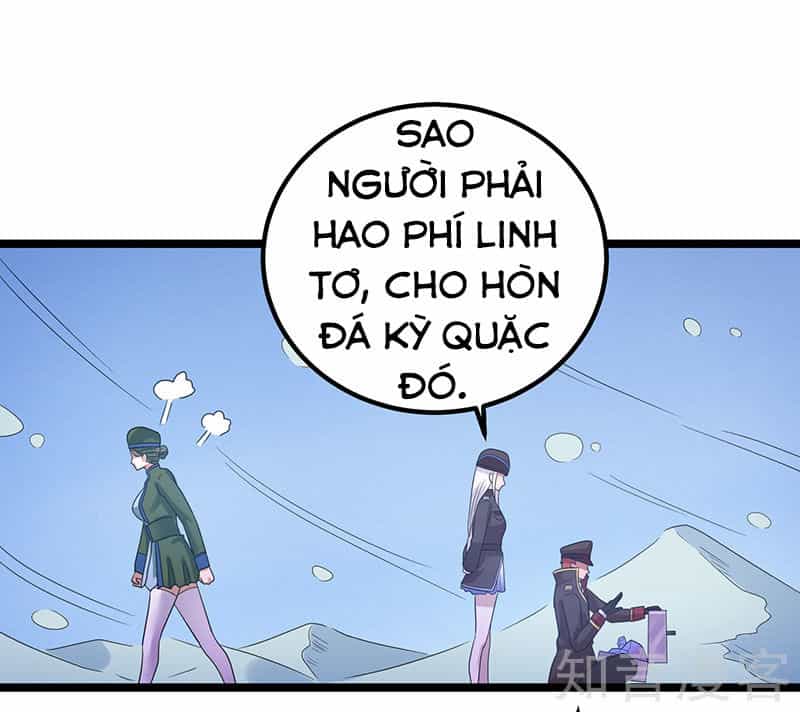 Tiên Vương Trùng Sinh - Chương 32 - ảnh 19