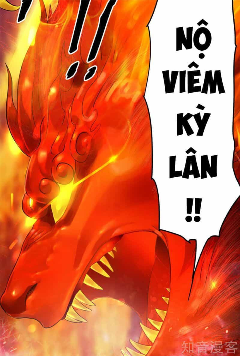 Tiên Vương Trùng Sinh - Chương 47 - ảnh 16