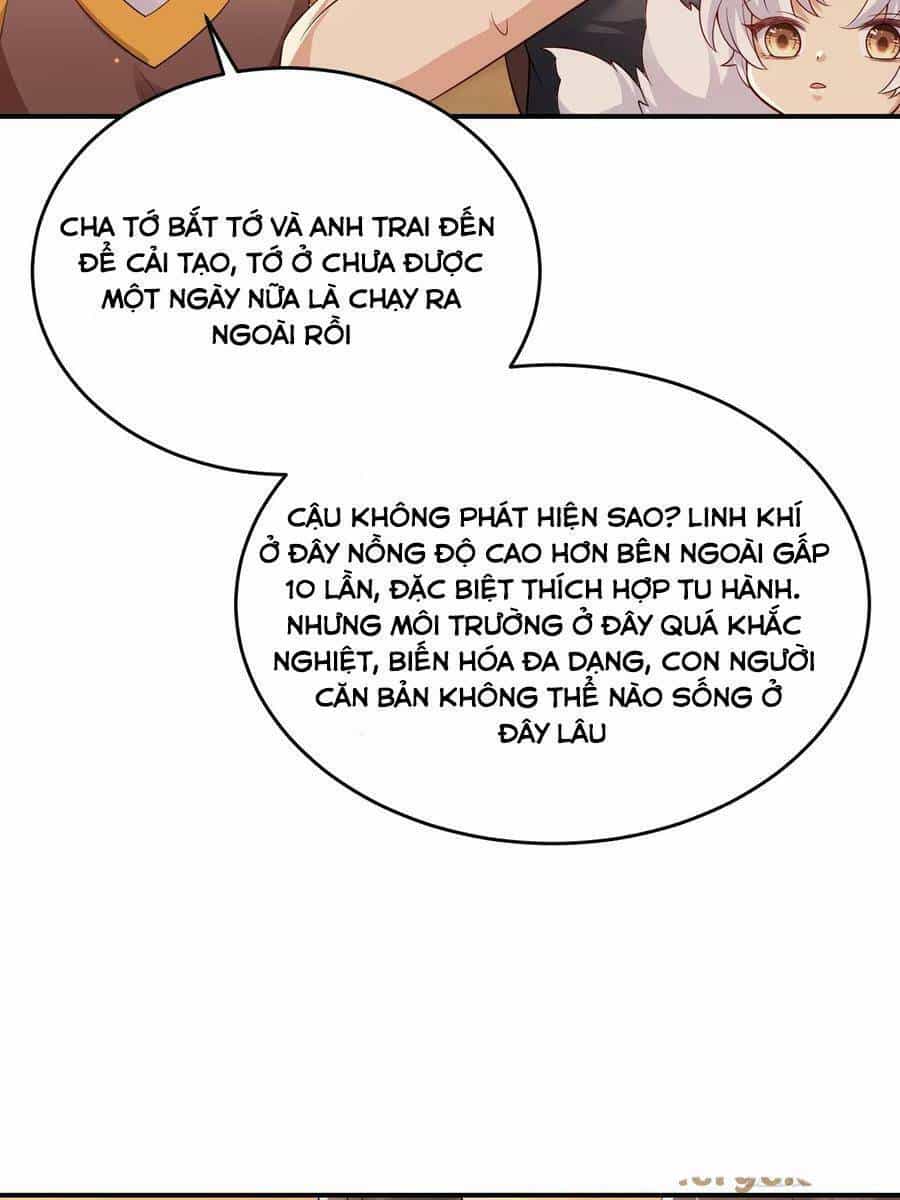 Tiểu Hồ Ly Hôm Nay Có Chút Ngoan - Chương 101 - ảnh 19