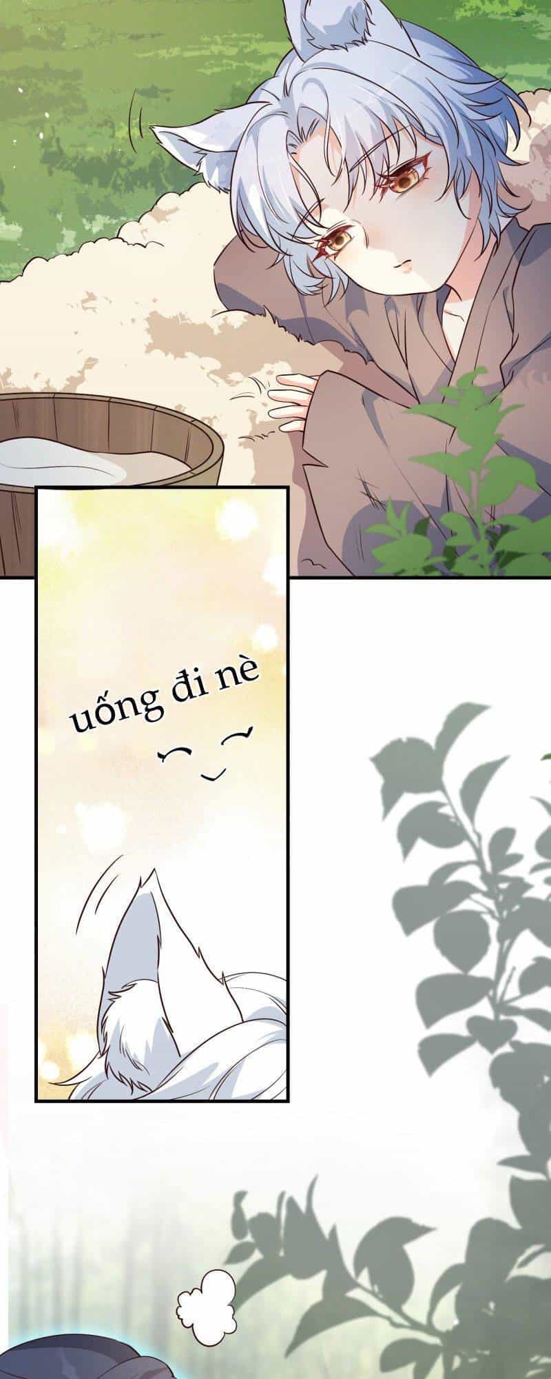 Tiểu Hồ Ly Hôm Nay Có Chút Ngoan - Chương 3 - ảnh 16