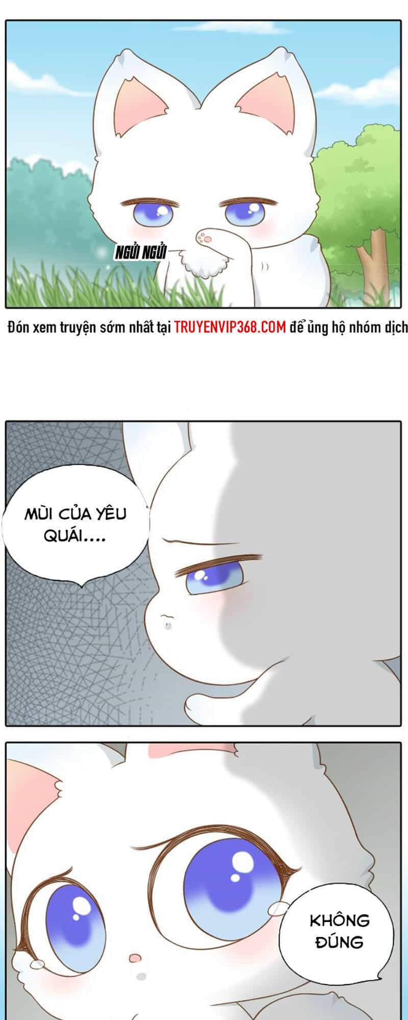 Tiểu Hoà Thượng - Chào Mừng Đến Trấn Yêu Quái - Chương 43 - ảnh 11
