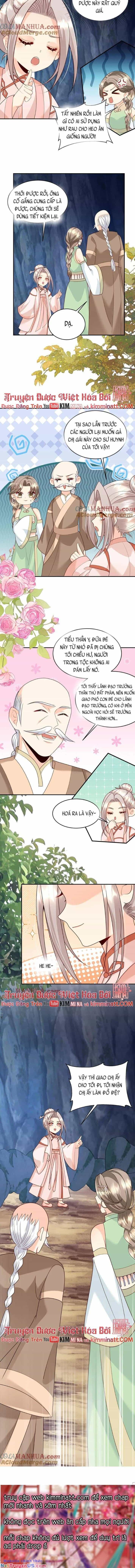 Tiểu Manh Bảo Bốn Tuổi Theo Sư Phụ Xuống Núi - Chương 217 - ảnh 4