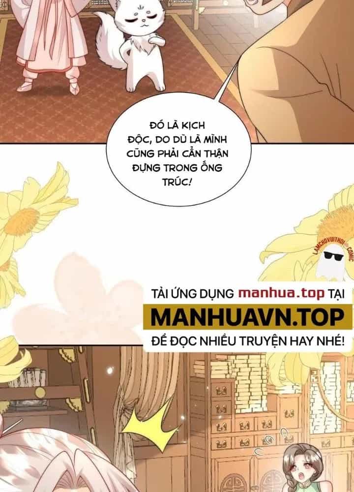 Tiểu Manh Bảo Bốn Tuổi Theo Sư Phụ Xuống Núi - Chương 290 - ảnh 11