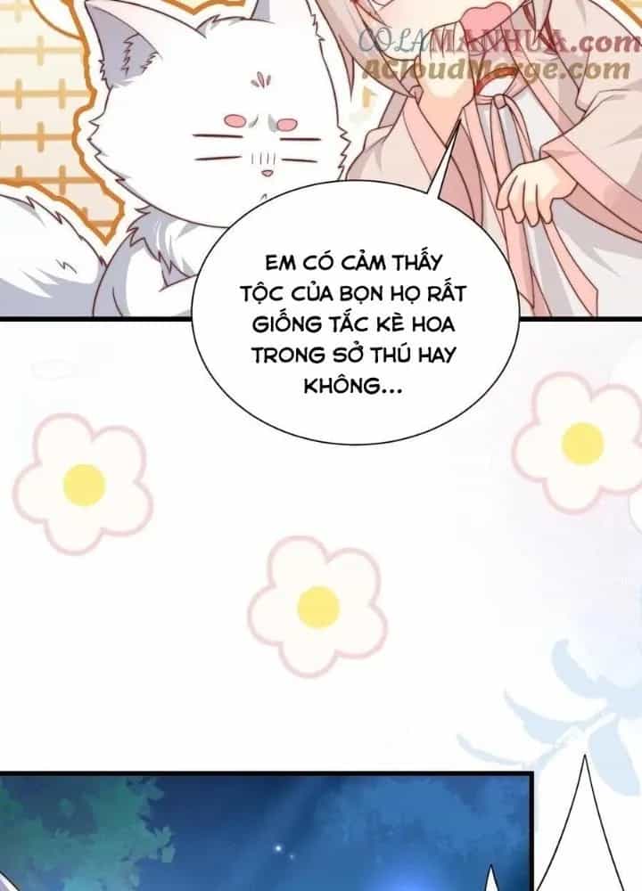 Tiểu Manh Bảo Bốn Tuổi Theo Sư Phụ Xuống Núi - Chương 293 - ảnh 19