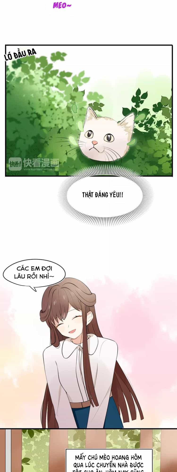 Tiểu Miêu Và Hắc Diệu Thạch - Chương 1 - ảnh 11