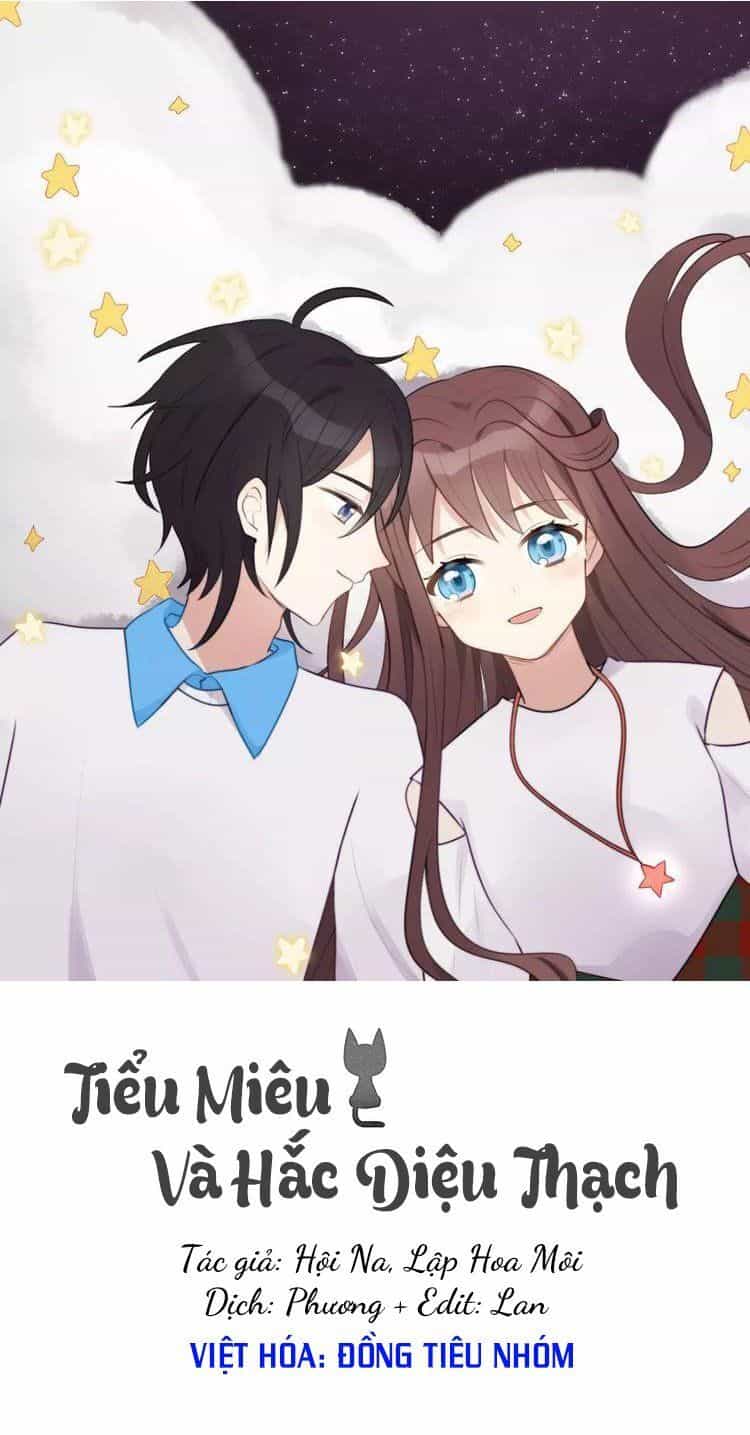Tiểu Miêu Và Hắc Diệu Thạch - Chương 7 - ảnh 1