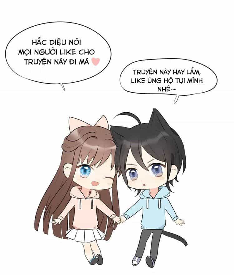 Tiểu Miêu Và Hắc Diệu Thạch - Chương 7 - ảnh 37