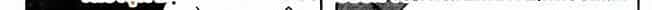Tiếu Ngạo Giang Hồ - Chương 100.5 - ảnh 263
