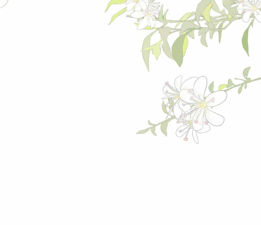 Tiểu Phú Bà Của Đại Tướng Quân - Chương 2 - ảnh 33