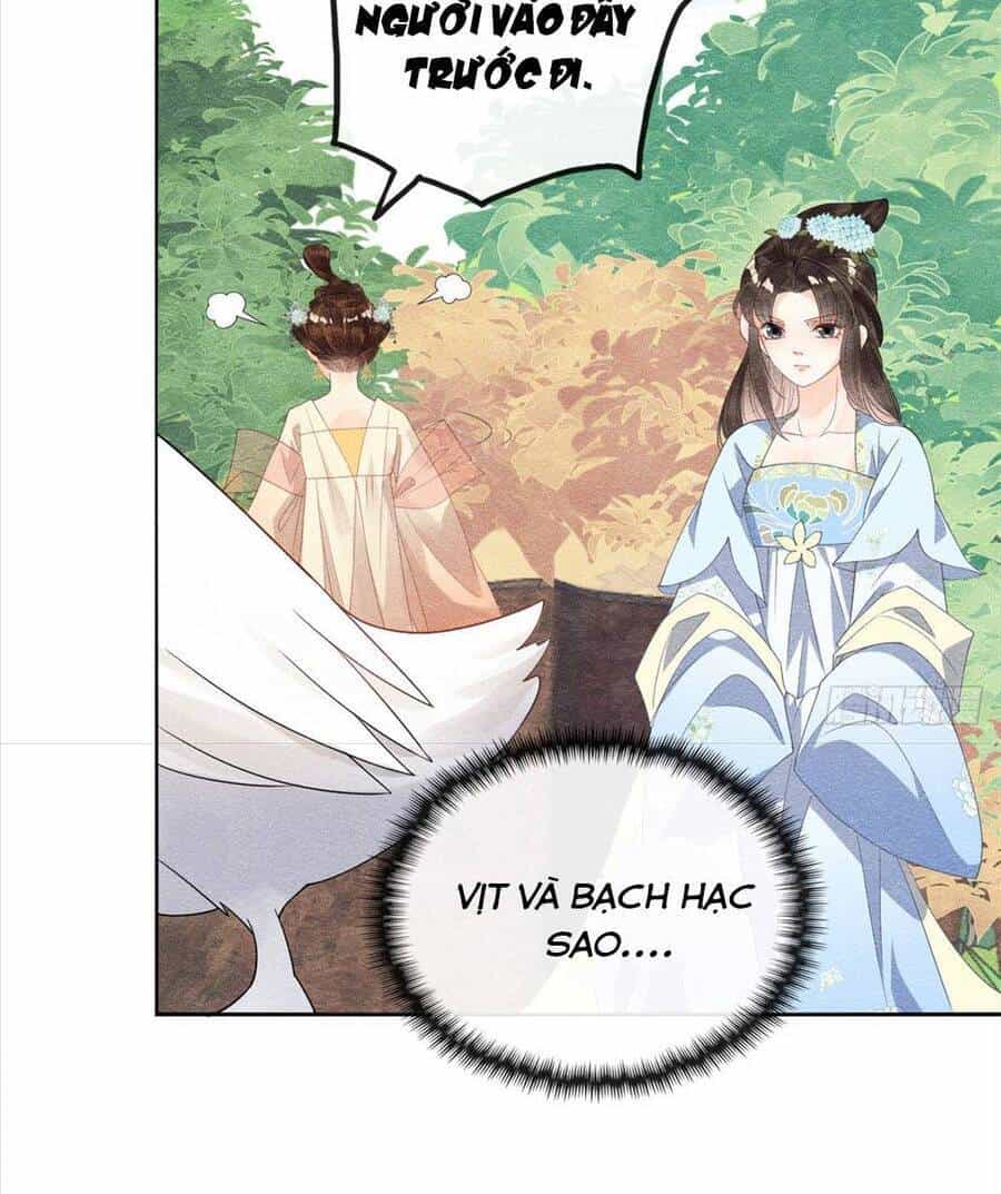 Tiêu Rồi, Lại Bị Bệnh Kiều Để Mắt Đến! - Chương 13 - ảnh 30
