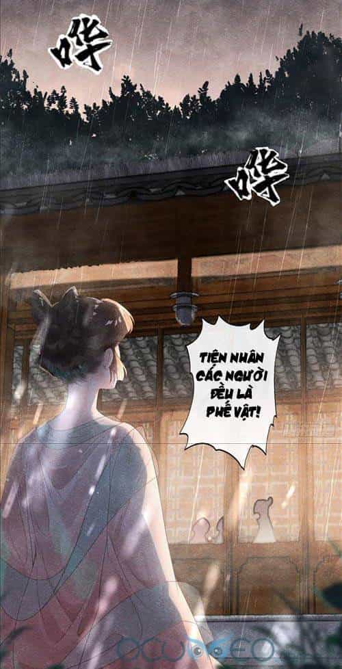 Tiêu Rồi, Lại Bị Bệnh Kiều Để Mắt Đến! - Chương 4 - ảnh 44
