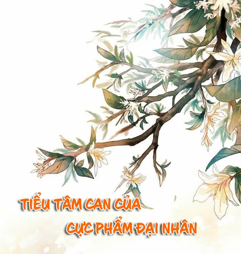 Tiểu Tâm Can Của Cực Phẩm Đại Nhân - Chương 8 - ảnh 2