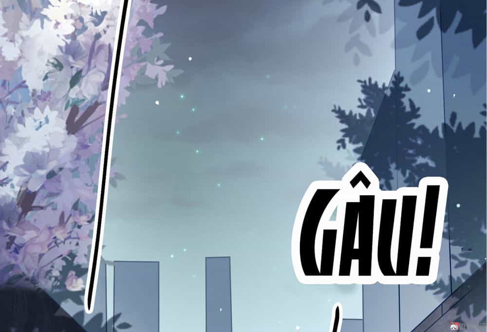 Tiểu Thịt Tươi, Đừng Chạy - Chương 0 - ảnh 17