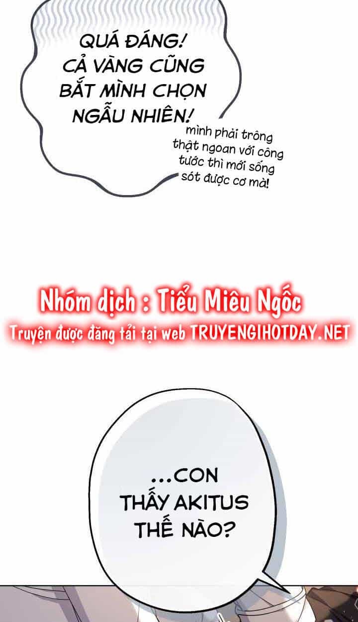 Tiểu Thư Tích Tiền Đi Bụi - Chương 15 - ảnh 67