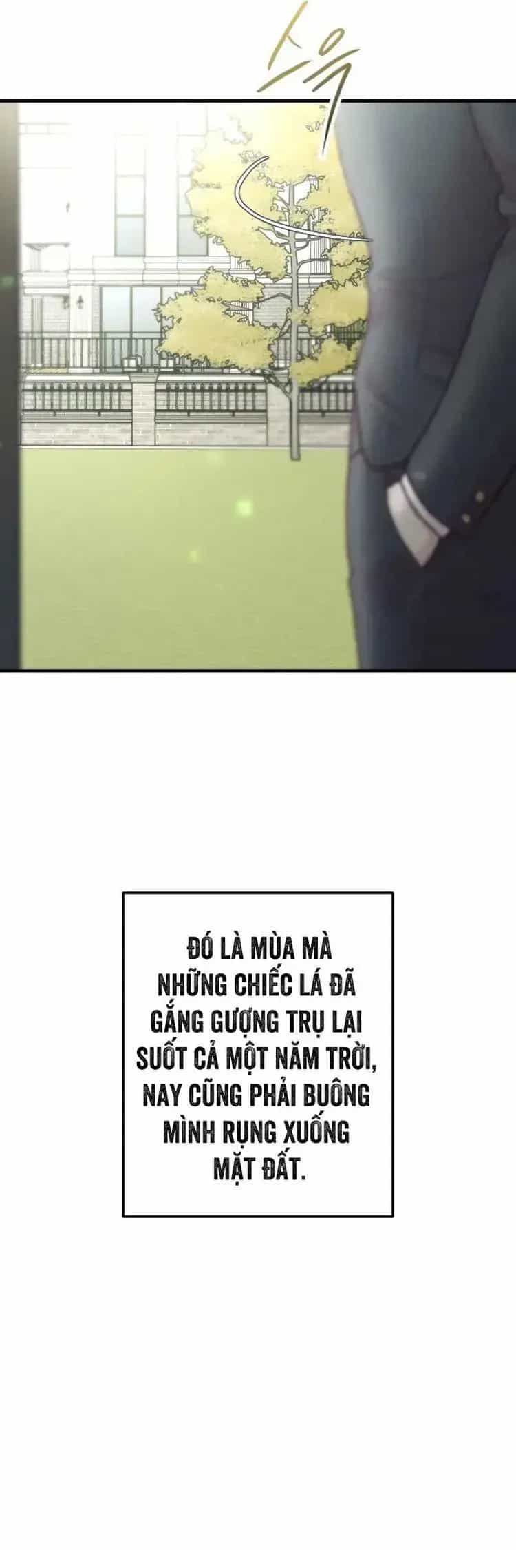 Tình Cờ Ta Gặp Nhau - Chương 103 - ảnh 74