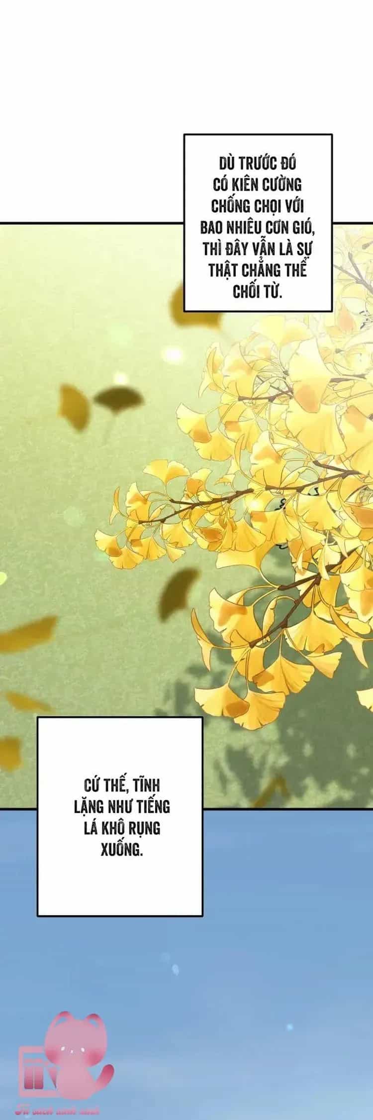 Tình Cờ Ta Gặp Nhau - Chương 103 - ảnh 75