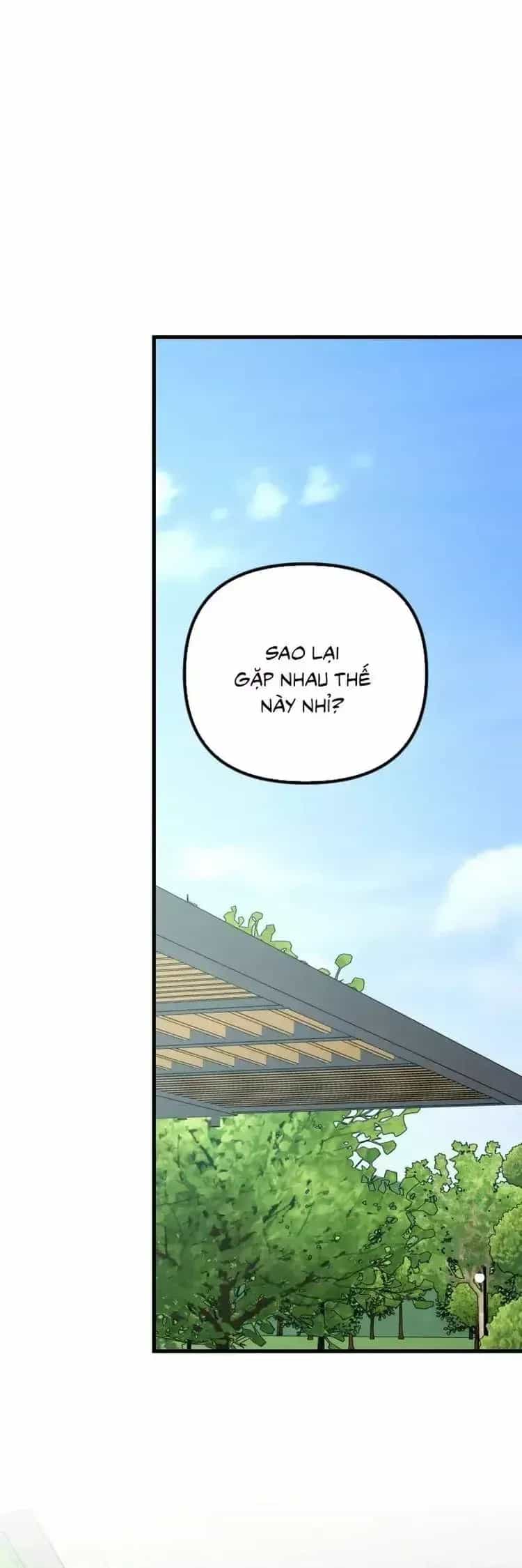 Tình Cờ Ta Gặp Nhau - Chương 107 - ảnh 33