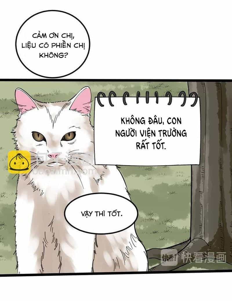 Tinh Thần Đại Hải Của Học Bá - Chương 82 - ảnh 29