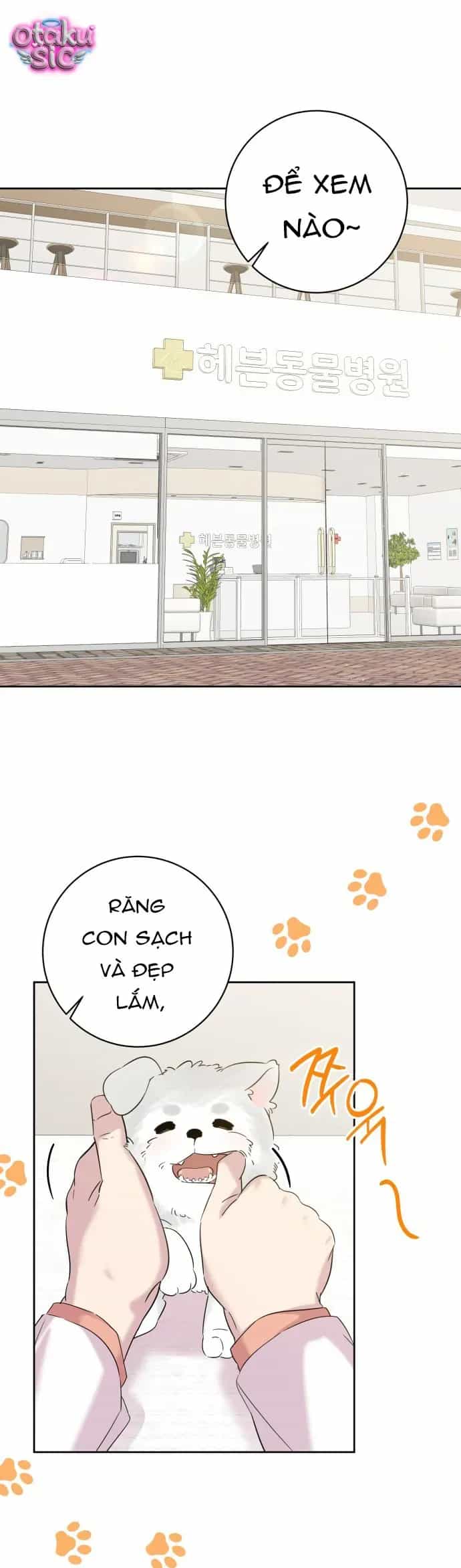 Tình Yêu Bắt Đầu Từ Việc Nuôi Dạy Con Cái - Chương 18 - ảnh 2