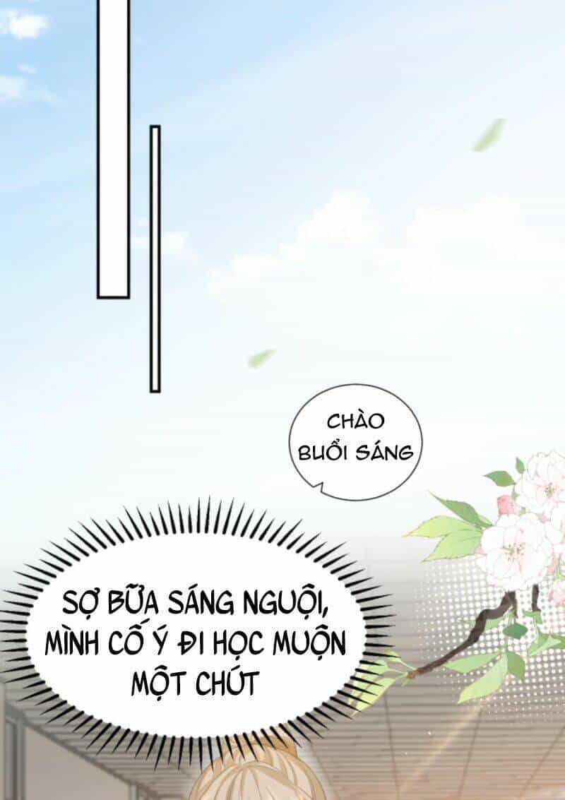 Tình Yêu Cháy Bỏng - Chương 13 - ảnh 6