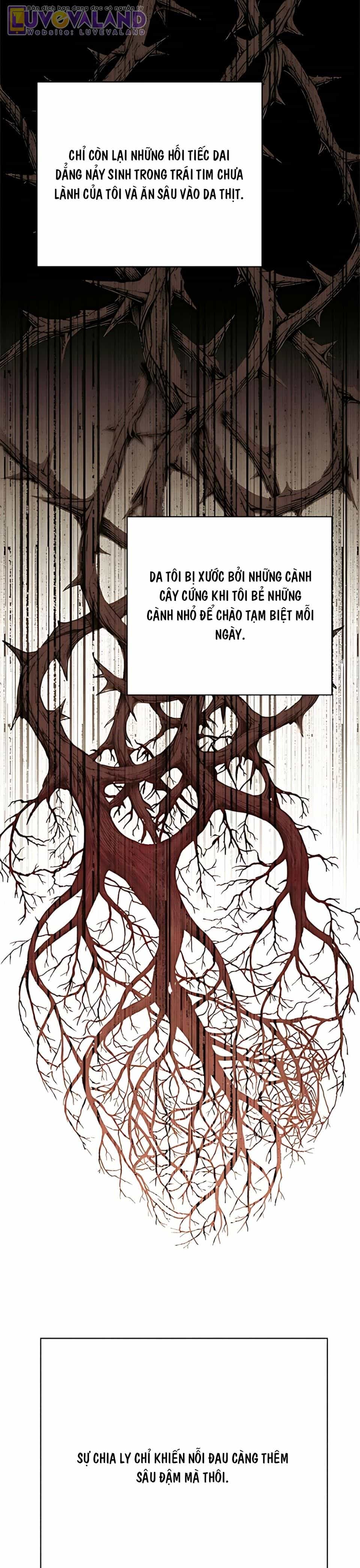Tình Yêu Của Ik Seob - Chương 104 - ảnh 14