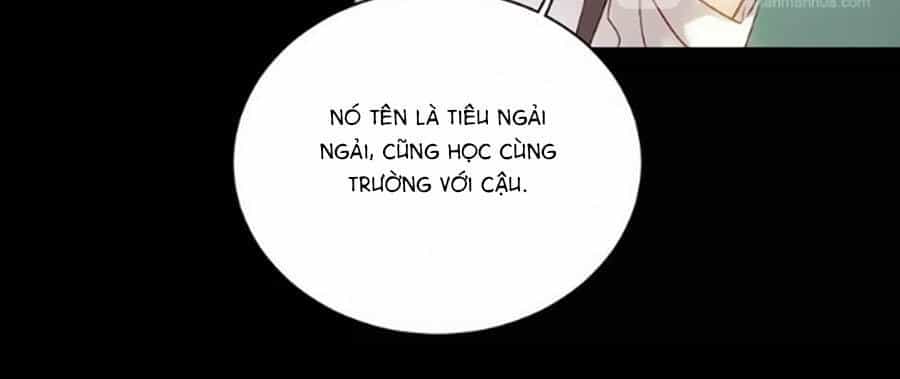 Tình Yêu Là Thế - Chương 65 - ảnh 12