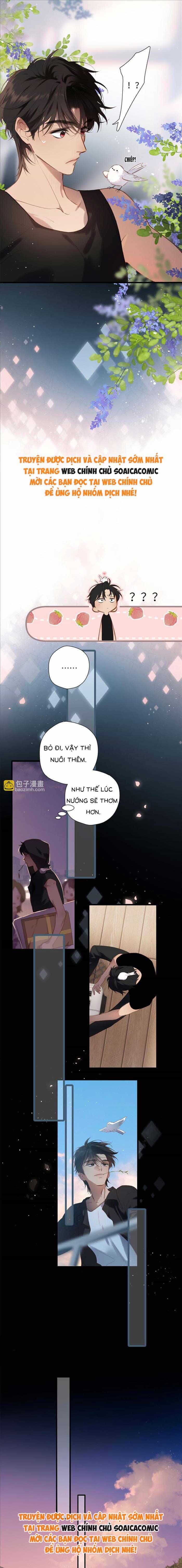 Tố Hồi Xuân Thời - Chương 32 - ảnh 8
