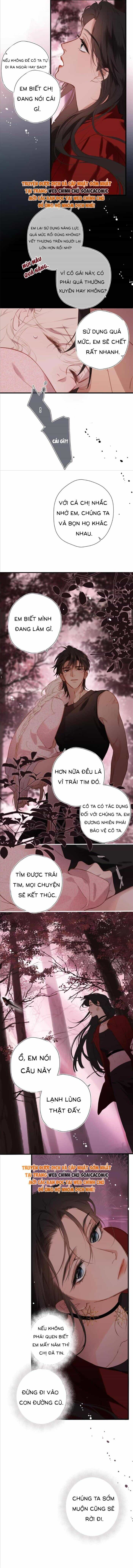 Tố Hồi Xuân Thời - Chương 38 - ảnh 5