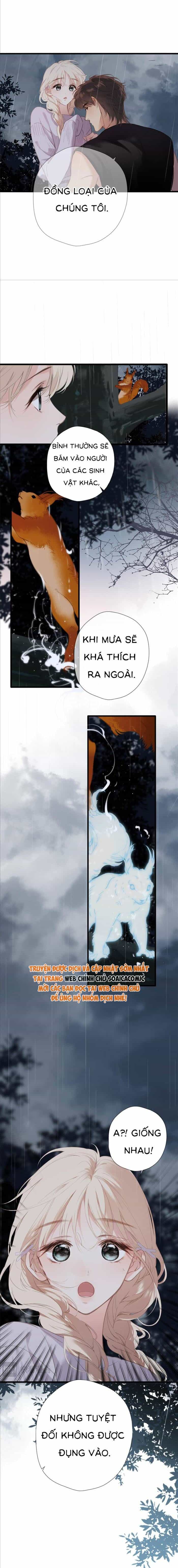 Tố Hồi Xuân Thời - Chương 53 - ảnh 3