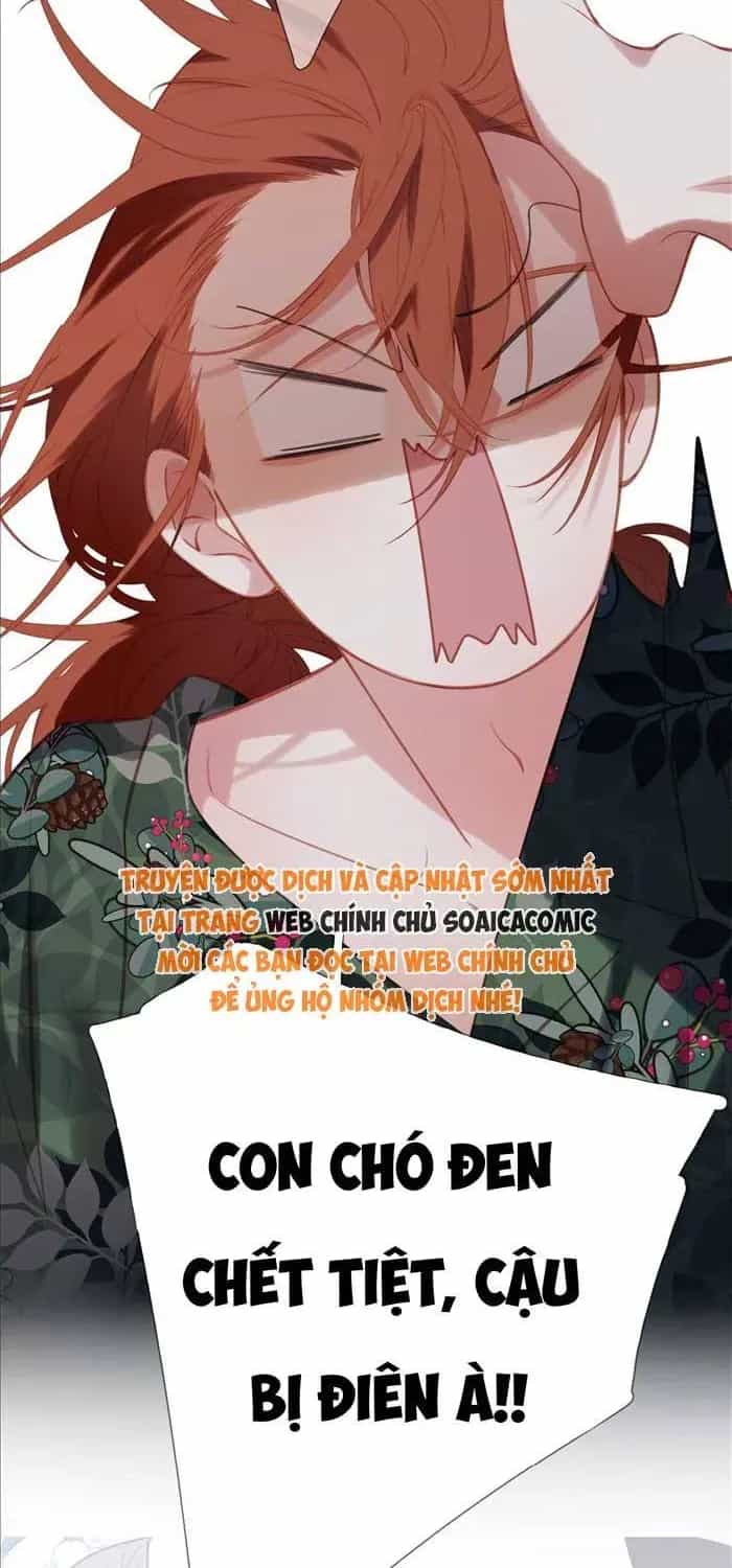 Tố Hồi Xuân Thời - Chương 70 - ảnh 16