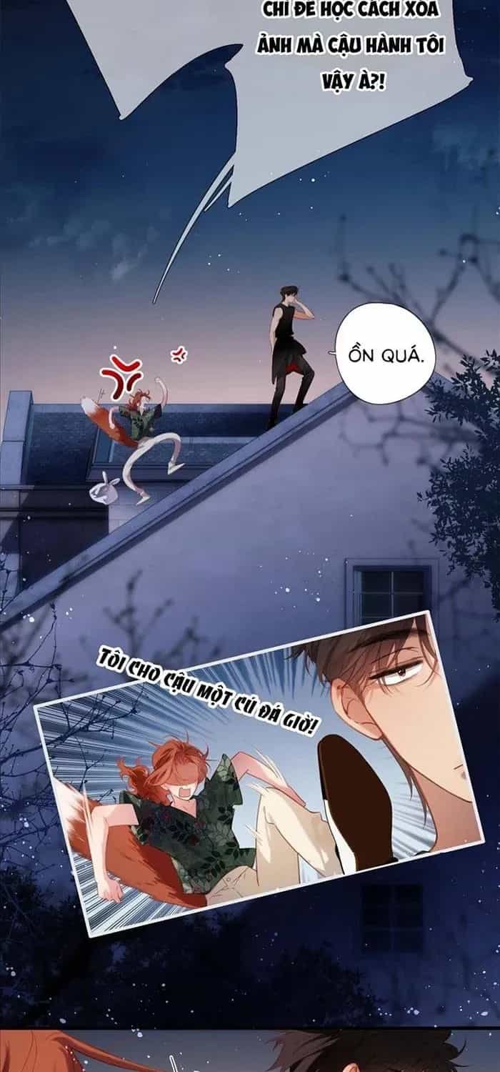 Tố Hồi Xuân Thời - Chương 71 - ảnh 2