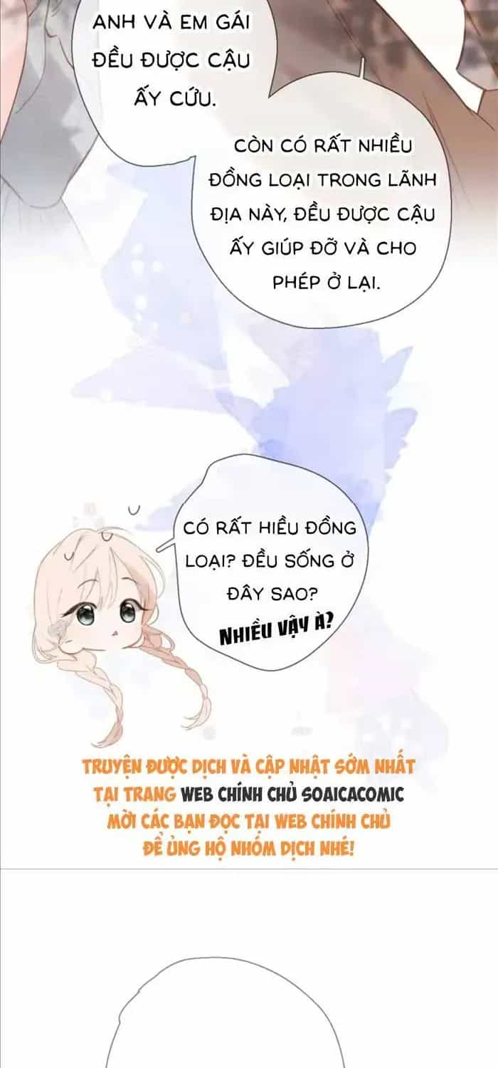 Tố Hồi Xuân Thời - Chương 72 - ảnh 32