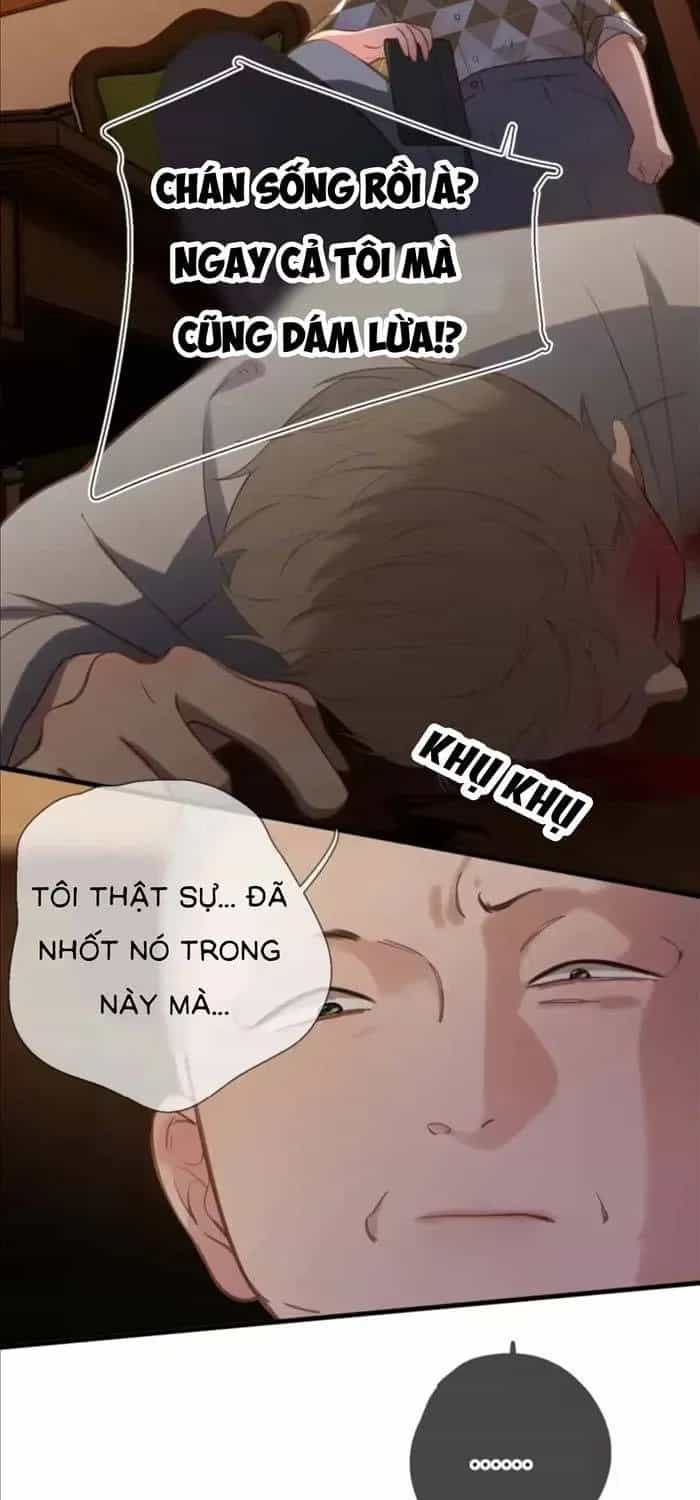 Tố Hồi Xuân Thời - Chương 73.2 - ảnh 20